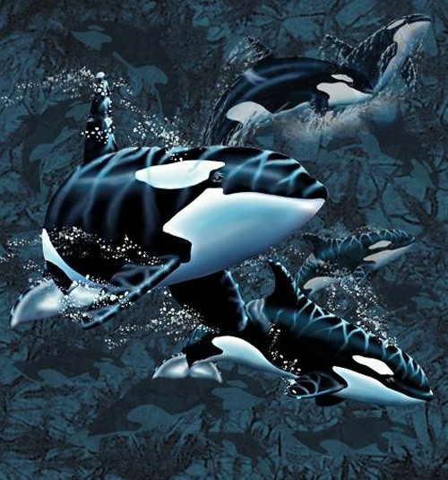 چند نهنگ در تصویر وجود دارد؟