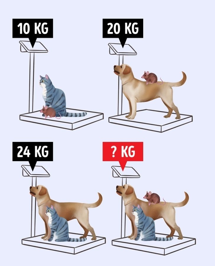 کیا ریاضیشون خوبه

مجموع وزن سگ، گربه و موش را بدست بیارید