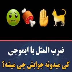 حدس ضرب المثل