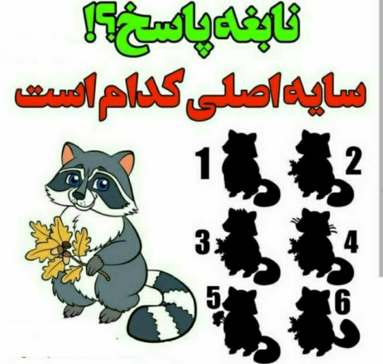 سایه اصلی کدام است؟