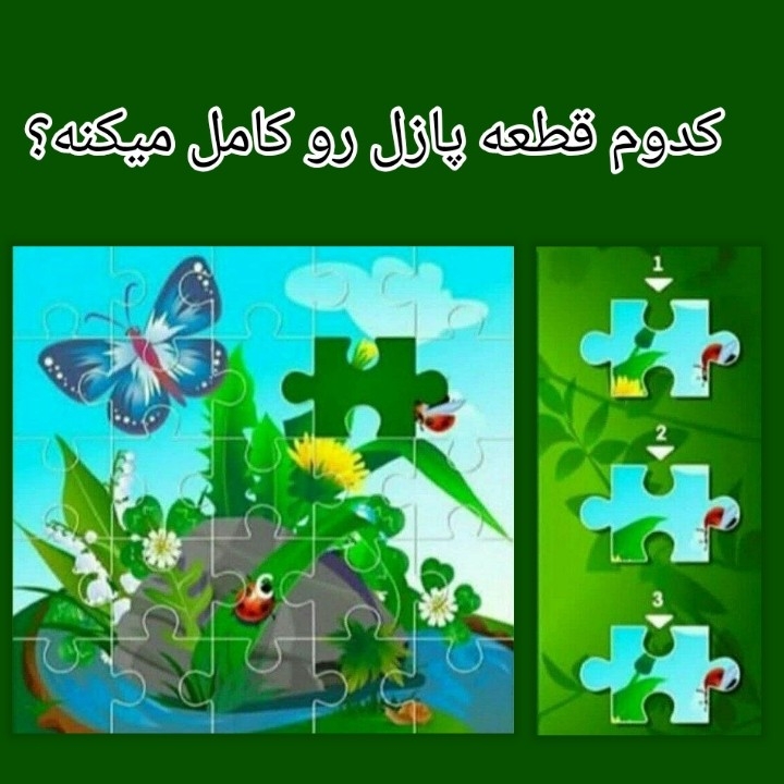 کدوم قطعه پازل رو کامل میکنه؟ 