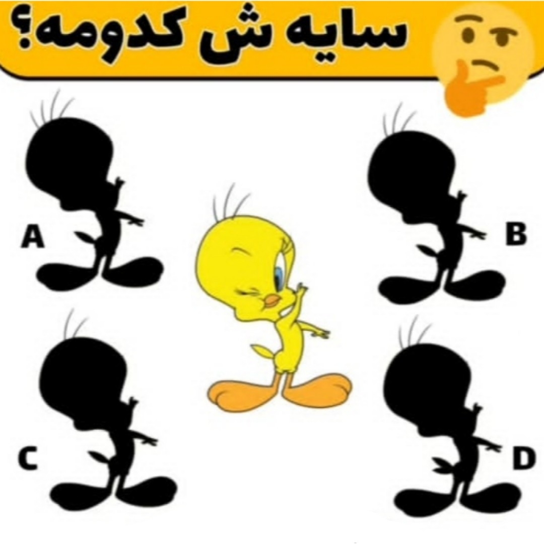 سایه جوجه کدومه؟ 