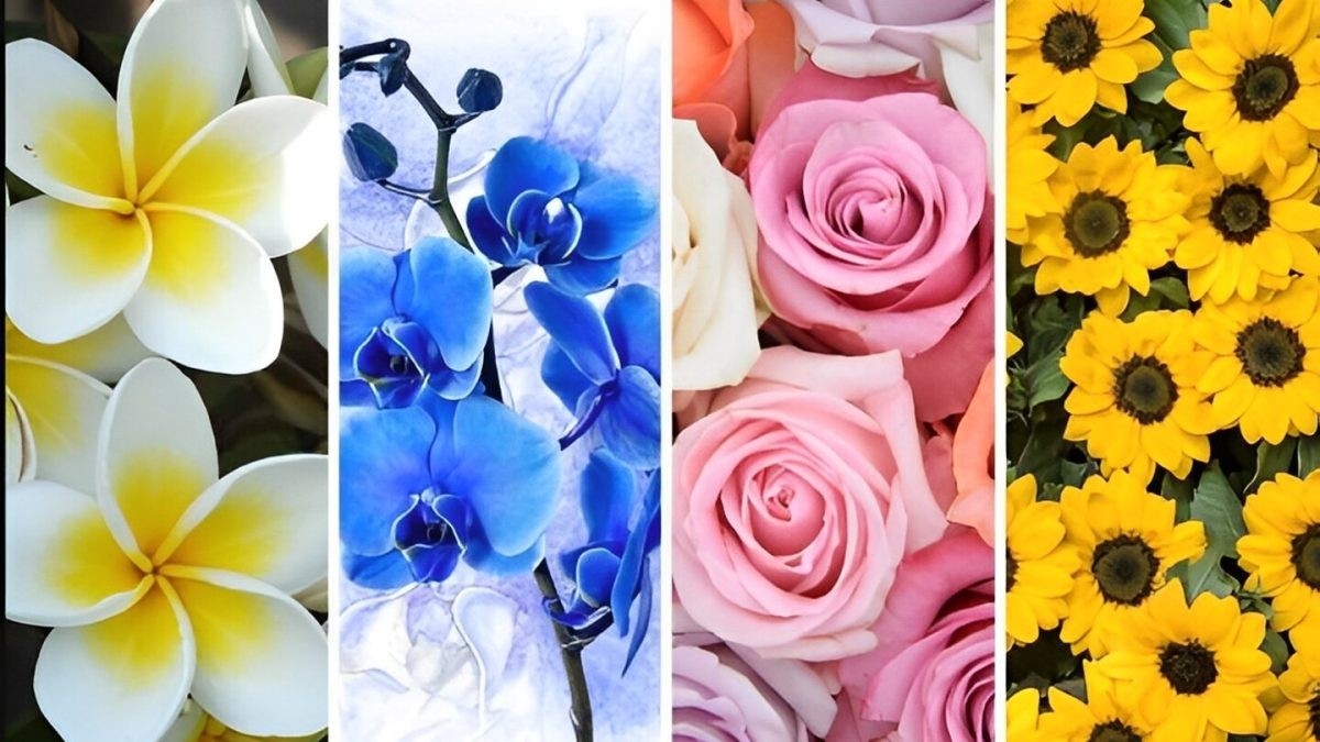روانشناسی گل ها: کدام گل را دوست دارید؟