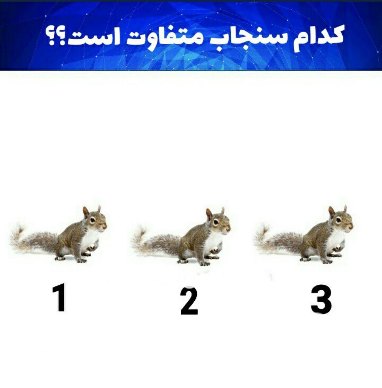 کدام متفاوت است