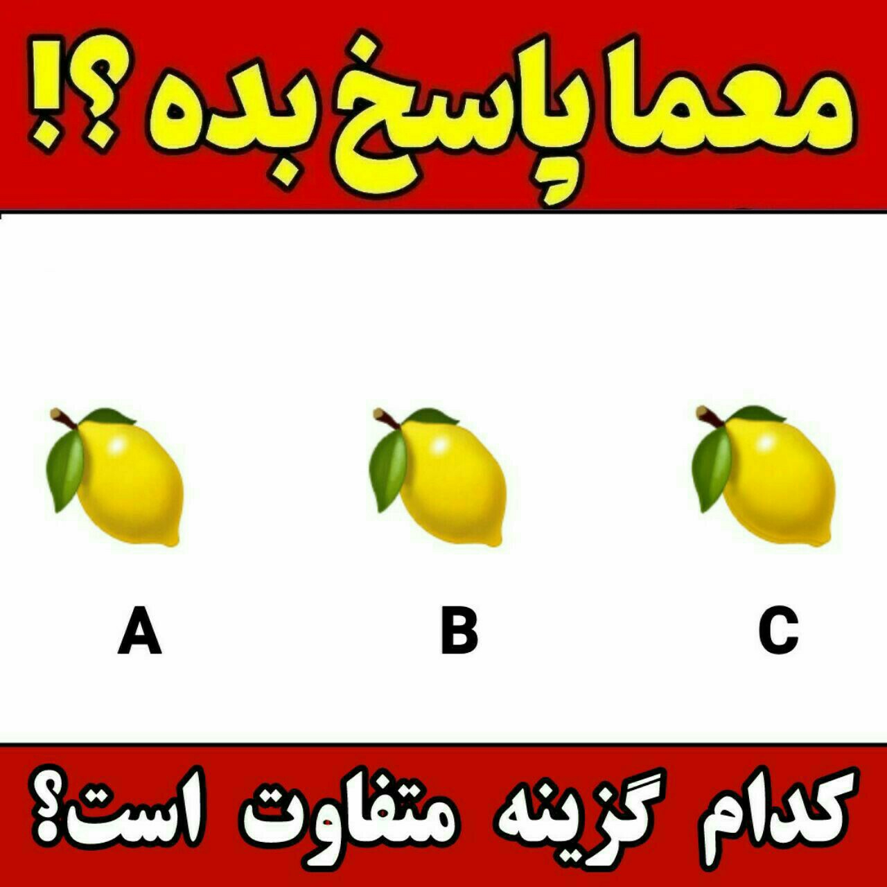 کدام گزینه متفاوت هست ؟؟؟