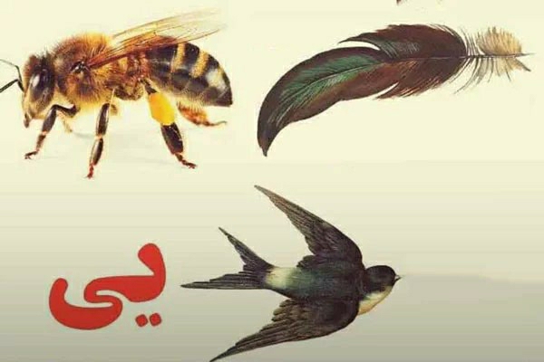 عکس به چه اسمی اشاره می‌کند؟ 