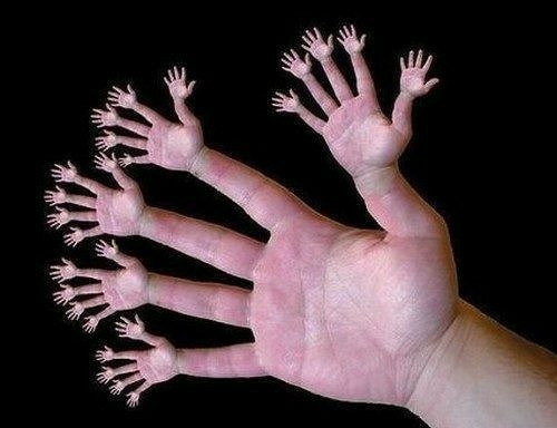 چند عدد انگشت در تصویر وجود دارد